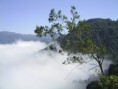 /album/fazenda%20joviano%20-%20mata%20atl%c3%a2ntica/s2020005-jpg1/
