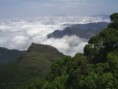 /album/fazenda%20joviano%20-%20mata%20atl%c3%a2ntica/s2020031-jpg/